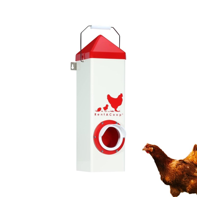 BPA-Free Single-Port Chicken Feeder -10lb Capacity