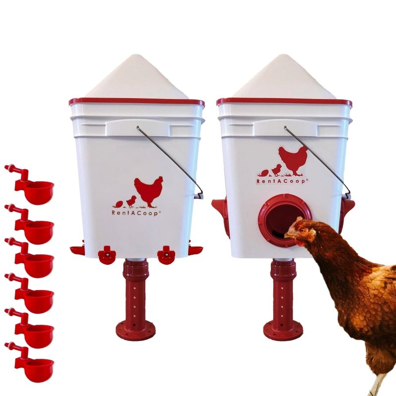RentACoop Chicken Feeder &amp; Waterer Set– 25lb No-Waste Feeder with 4 Large Ports + 5-Gallon Waterer with Auto-Fill Cups &amp; Horizontal Nipples