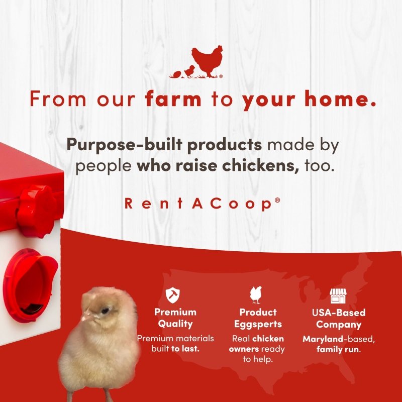 Chicken Feeder with Anti-Roost Lid, Slider Port Cover | RentACoop