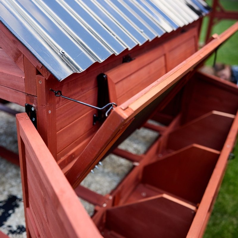 Chicken Coop for 15 Chickens – Brahma Chicken Coop with Run Extension Options