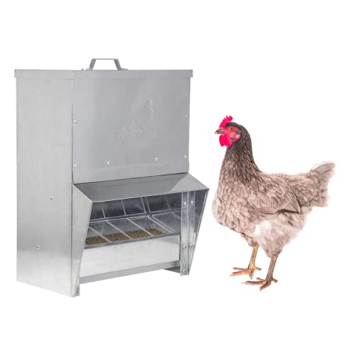 RentACoop Galvanized Chicken Tough Feeder - 25lb