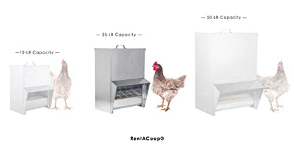 RentACoop Galvanized Chicken Tough Feeder - 25lb