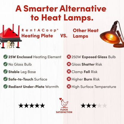 RentACoop 10x10” Adjustable Heating Plate with Bonus Foldable Anti-Roost Cone for up to 15 Chicks