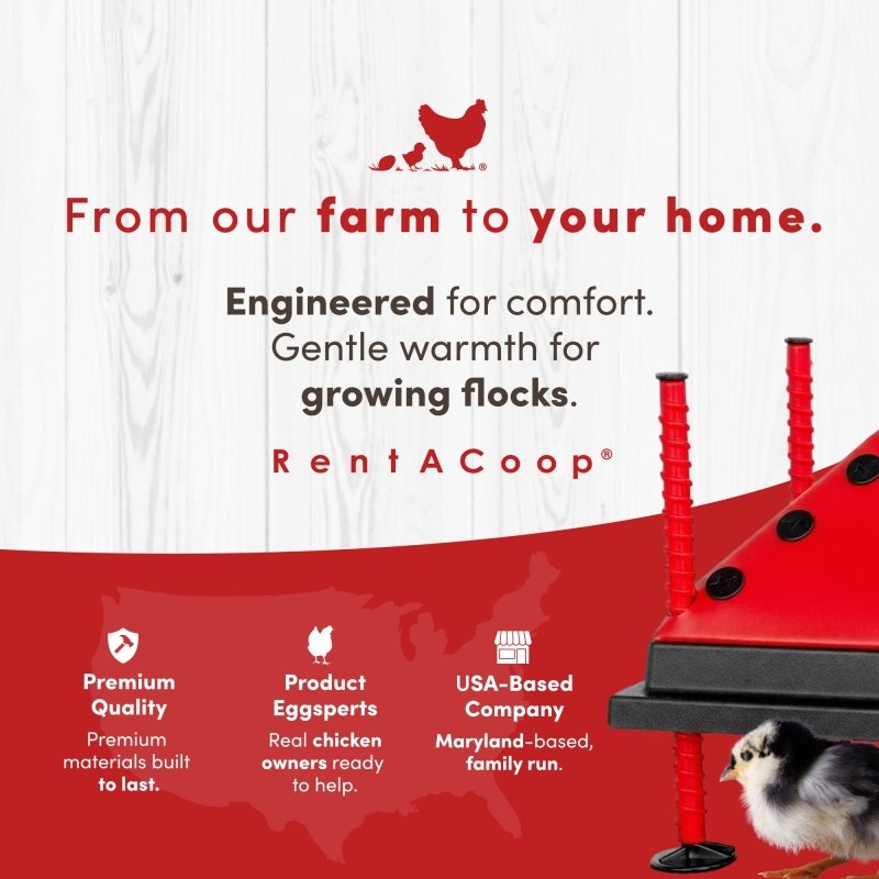 RentACoop 10x10” Adjustable Heating Plate with Bonus Foldable Anti-Roost Cone for up to 15 Chicks