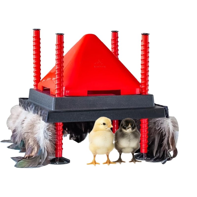 RentACoop 10x10” Heating Plate with Hard Anti-Roost Cone Set and Removable Comfort Feathers – Chick Brooder Heat Plate Warms Up to 15 Chicks