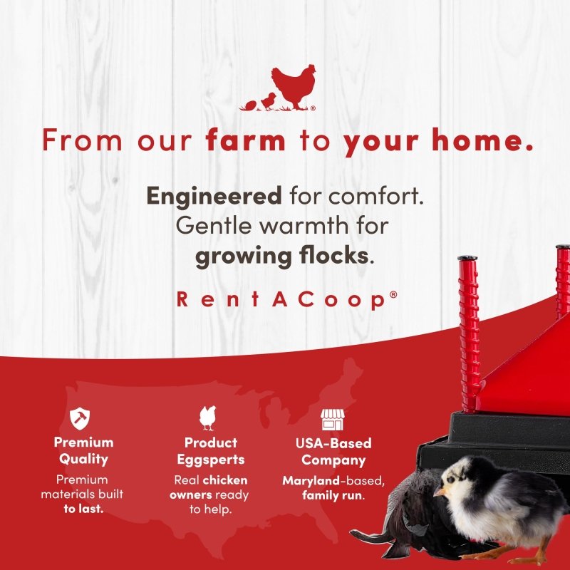 RentACoop 12x12” Adjustable Heating Plate with Hard Anti-Roost Cone Set and Removable Comfort Feathers - Chick Brooder Heat Plate Warms Up to 20 Chicks
