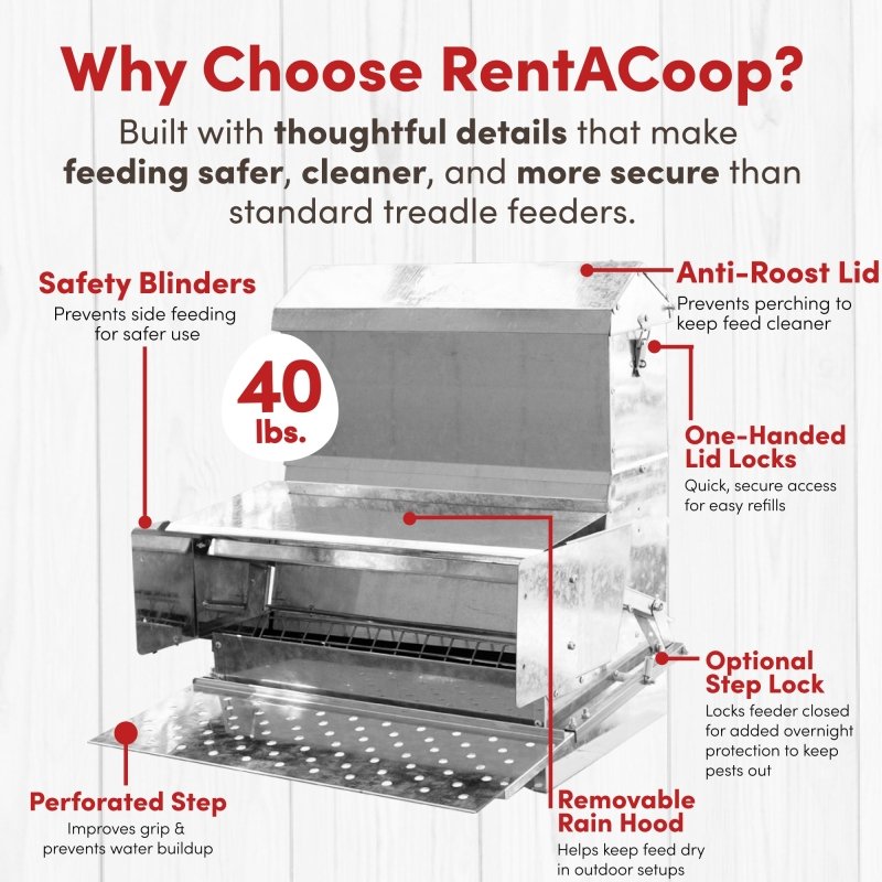 RentACoop 40 lb Automatic Treadle Chicken Feeder