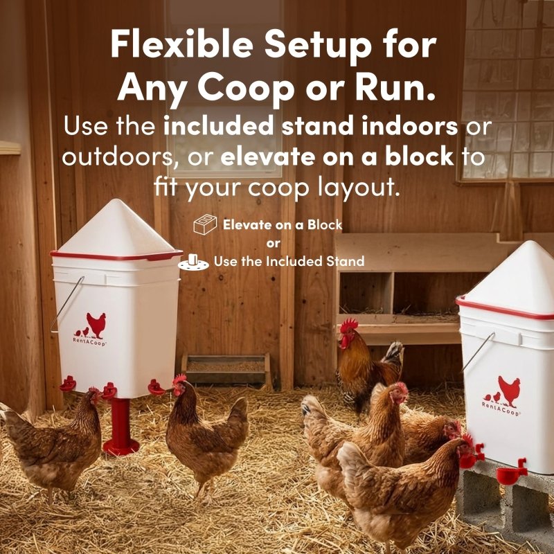 RentACoop 5 Gallon/ 4 Automatic-Fill Water Cup or Nipple Chicken Waterer with Adjustable Stand - Center Placement