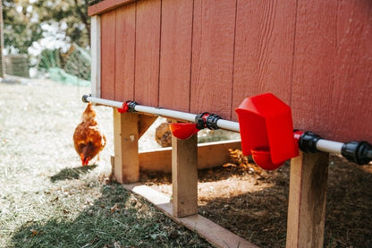 RentACoop DIY Chicken Watering System PVC T Attachments (6 Pack)