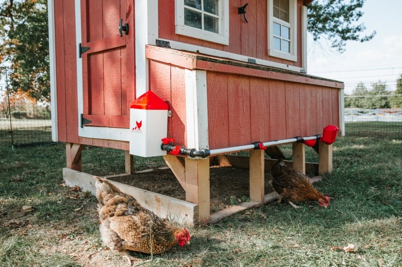 RentACoop DIY Chicken Watering System PVC T Attachments (6 Pack)