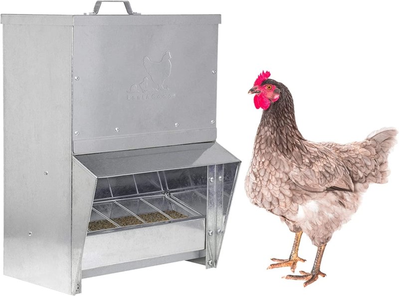RentACoop Galvanized Chicken Tough Feeder - 10lb
