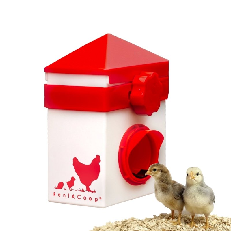 Chicken Feeder with Anti-Roost Lid, Slider Port Cover | RentACoop