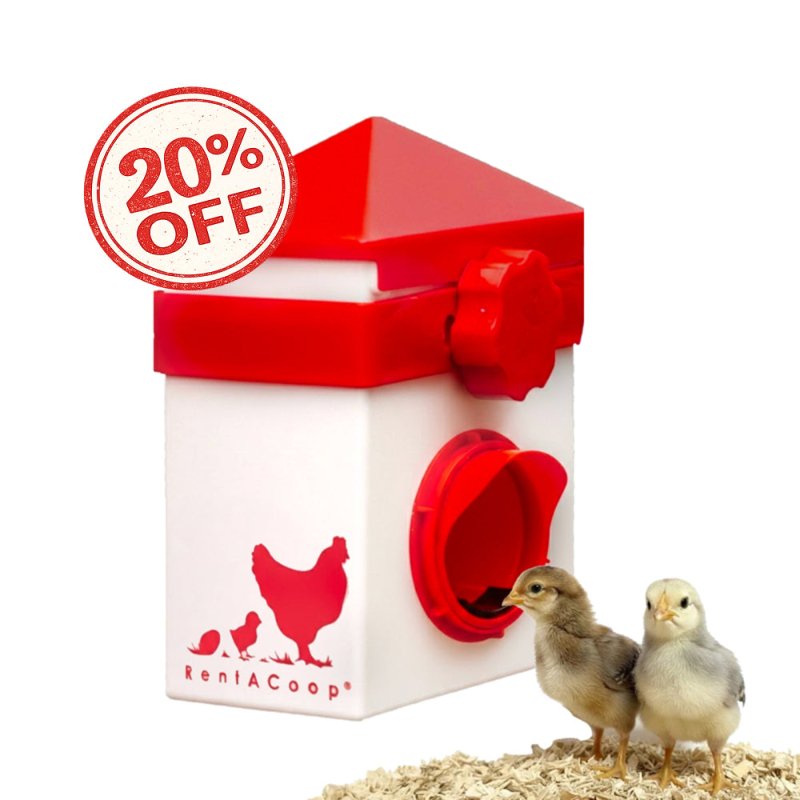 Chicken Feeder with Anti-Roost Lid, Slider Port Cover | RentACoop