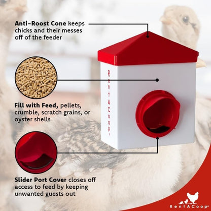 2.5lb Chick2Chicken BPA-Free Chicken Feeder