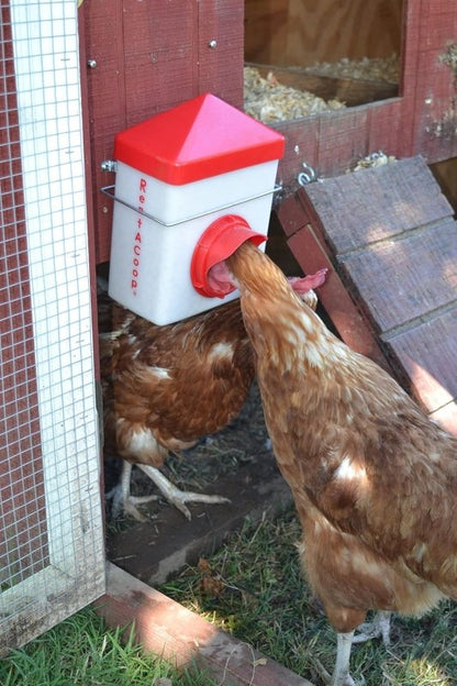 2.5lb Chick2Chicken BPA-Free Chicken Feeder