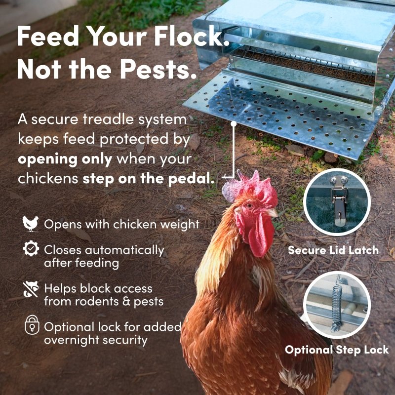 RentACoop 40 lb Automatic Treadle Chicken Feeder
