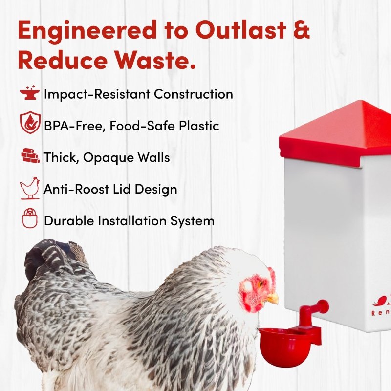 2.5 Pound Chick2Chicken Medium Port Feeder and 64 Ounce (2 Liter) Drinker Set
