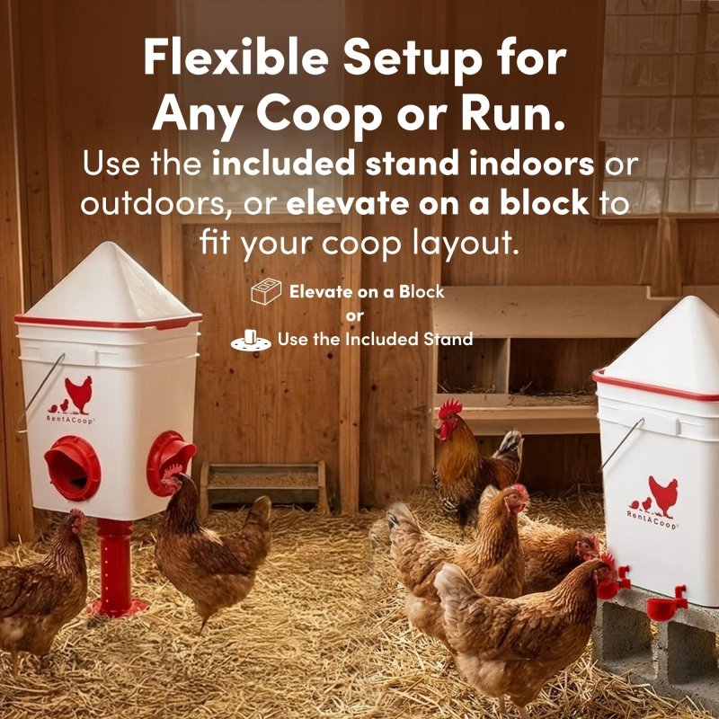 RentACoop Chicken Feeder &amp; Waterer Set– 25lb No-Waste Feeder with 4 Large Ports + 5-Gallon Waterer with Auto-Fill Cups &amp; Horizontal Nipples