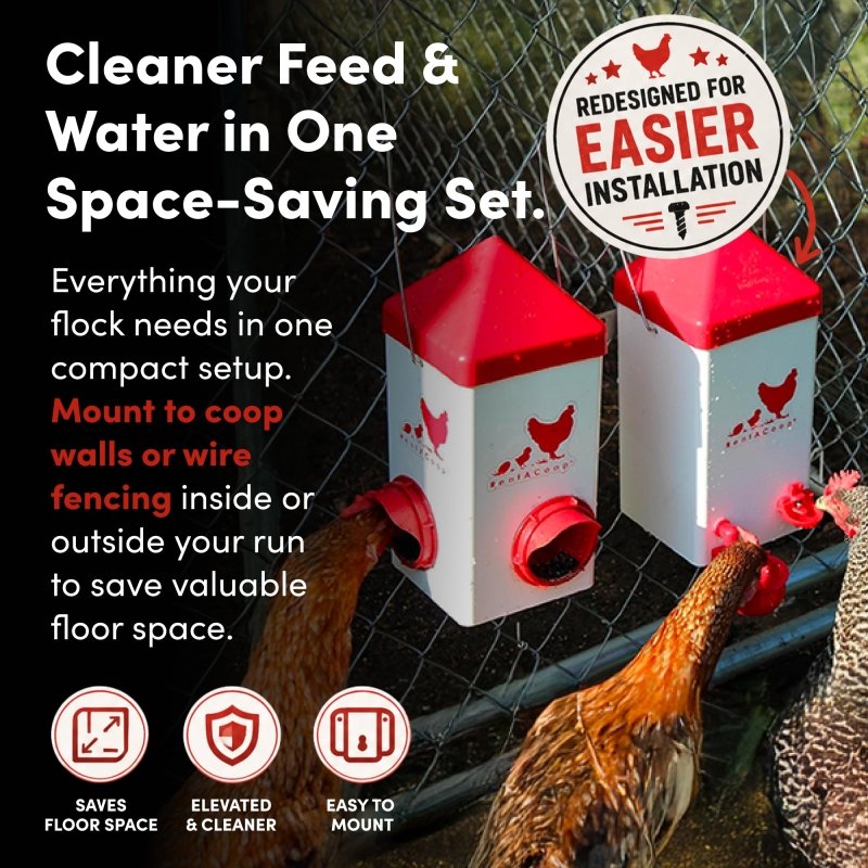 5lb 2-Port Feeder and 1-Gal Small Cage Waterer Set | RentACoop