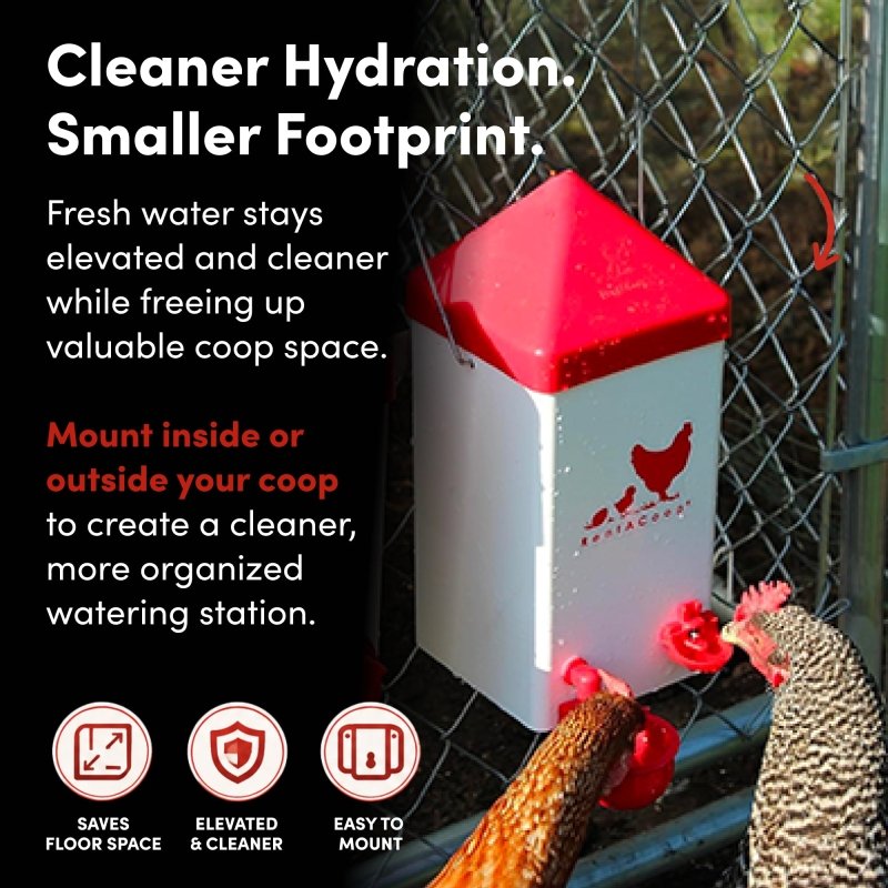 1 Gallon PVC Chicken Waterer | Chick Supplies | RentACoop