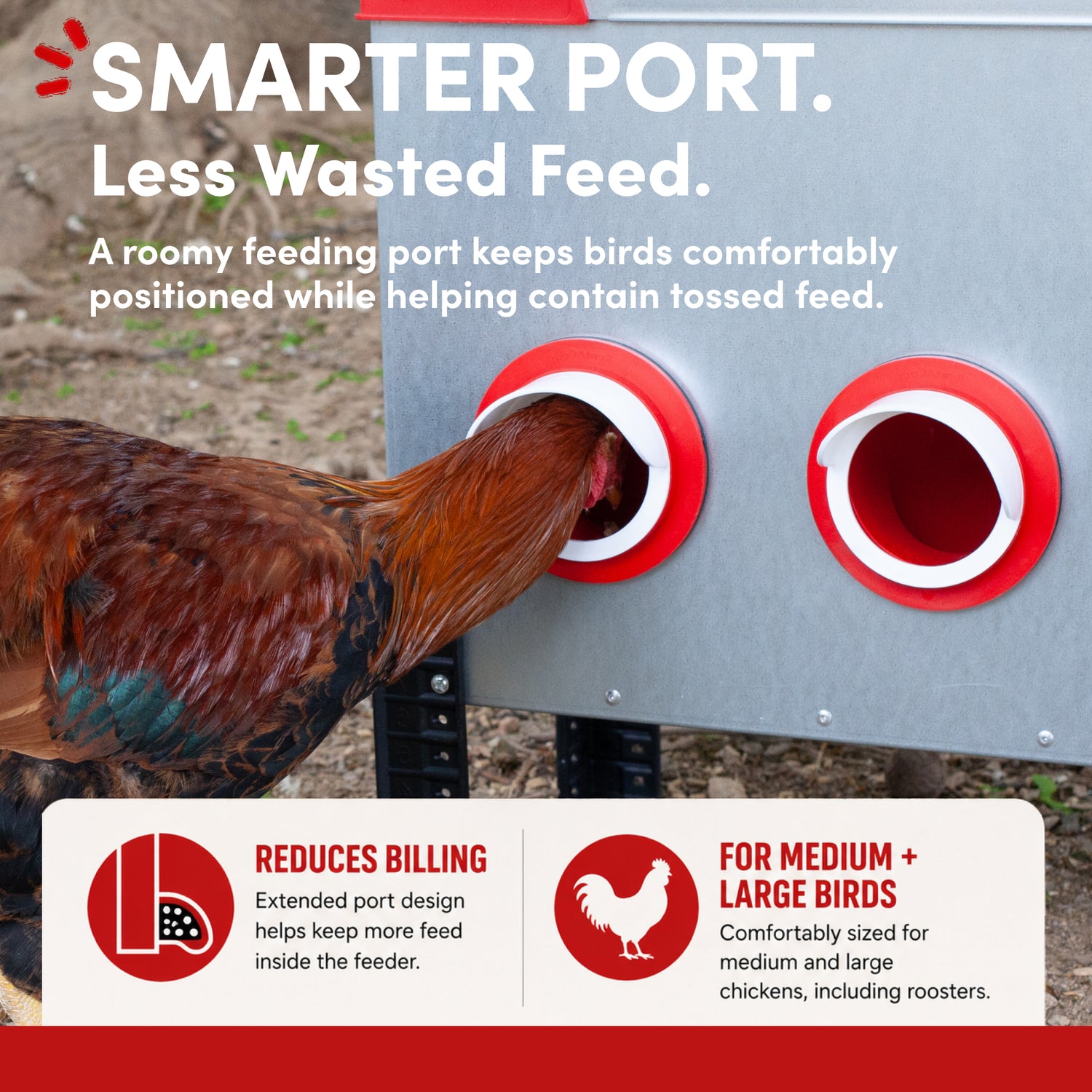 RentACoop Flock Feeder 65 lb - Large Capacity, Weatherproof Metal 6-Port Feeder for Adult Chickens, Turkeys, Ducks, and More