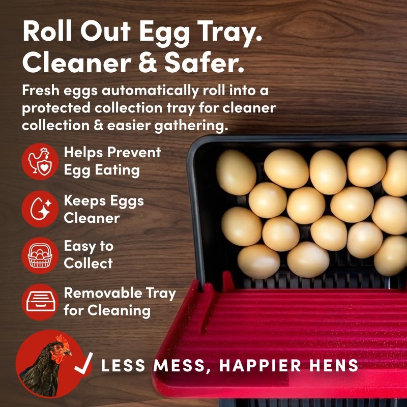 RentACoop Roll-Out Reversible Chicken Nesting Box Suite – 3 compartment
