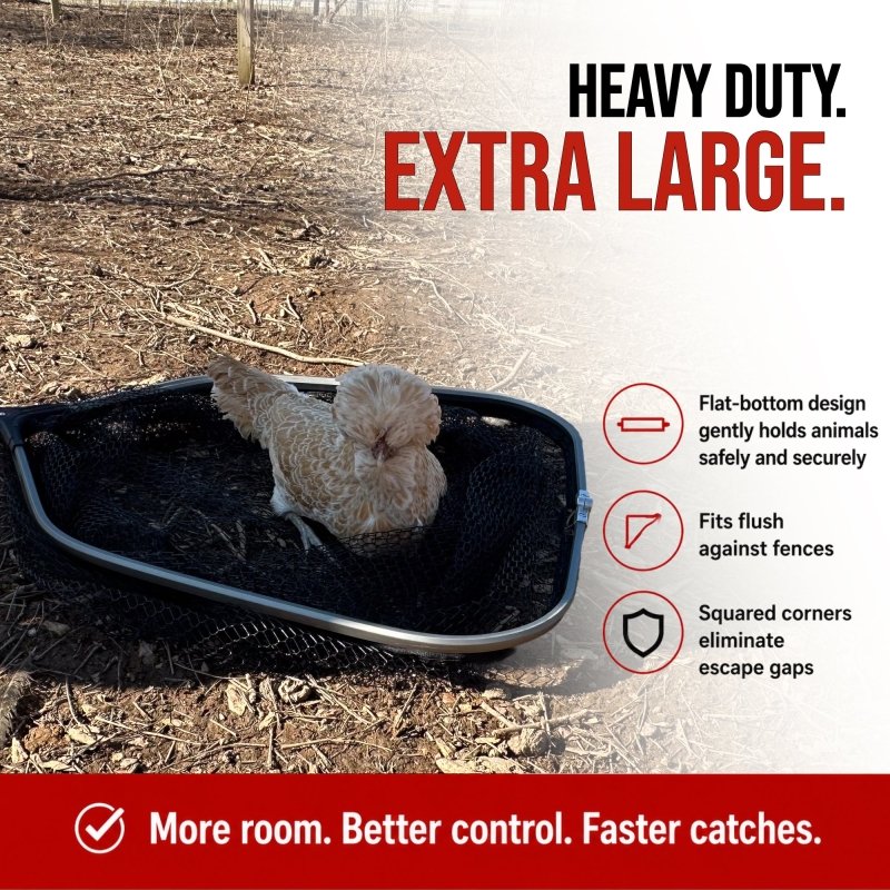 Cluck Catcher Chicken Catching Net for all Poultry, Turkeys, Ducks, Quail, and other Small Animals
