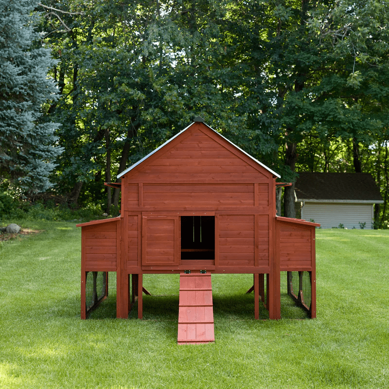 Chicken Coop for 15 Chickens – Brahma Chicken Coop with Run Extension Options