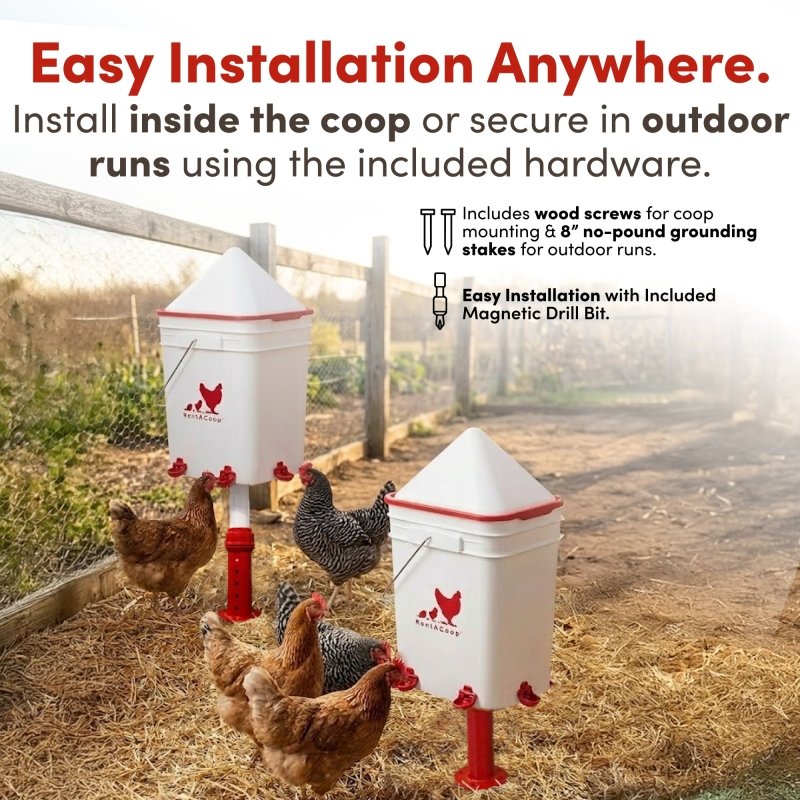 RentACoop 5 Gallon/ 4 Automatic-Fill Water Cup or Nipple Chicken Waterer with Adjustable Stand - Center Placement