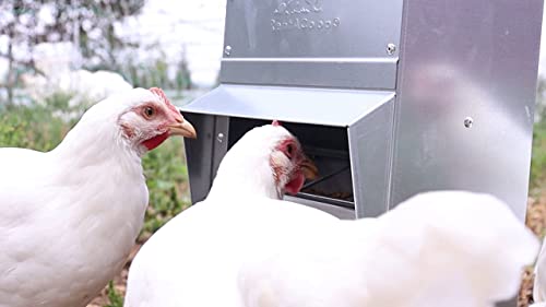 Galvanized Chicken Tough Feeder, Weatherproof Poultry Food Dispenser with Lid - 50lb