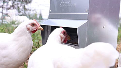 Galvanized Chicken Tough Feeder, Weatherproof Poultry Food Dispenser with Lid - 50lb