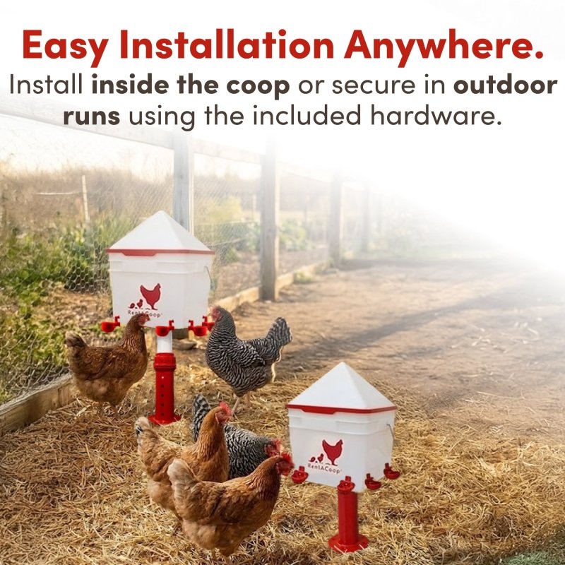 RentACoop 2 Gallon Chicken Waterer with 4 Cups and 4 Nipples - Corner Placement