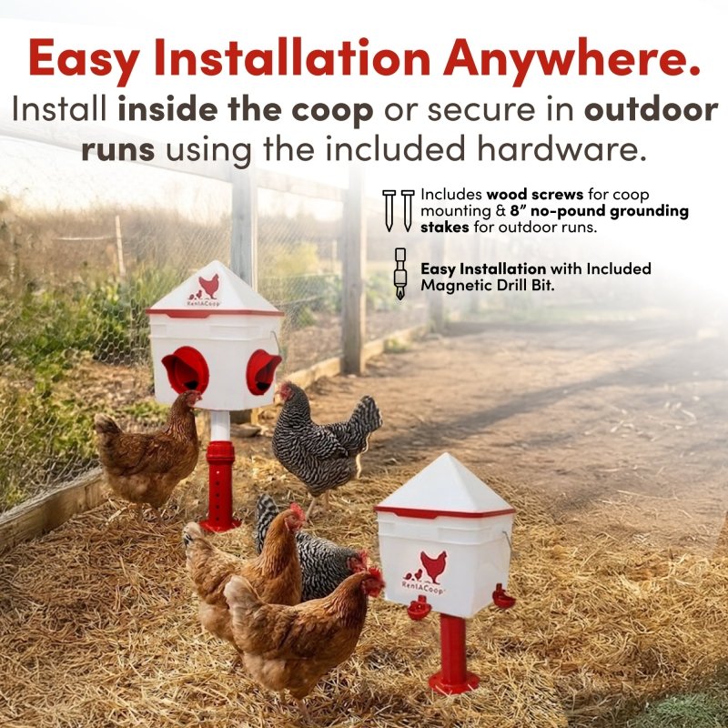 RentACoop Chick2Chicken 10lb Feeder &amp; 2 Gal Waterer Set