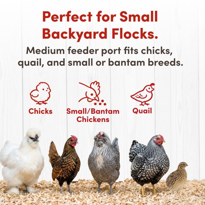 5lb 2-Port Feeder and 1-Gal Small Cage Waterer Set | RentACoop