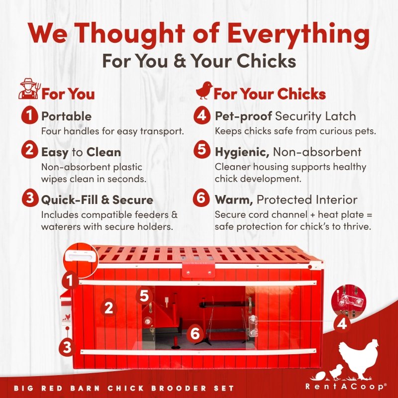 RentACoop Big Red Barn Chick Brooder Set | Durable, Lightweight, easy-clean, multipurpose | With Heating Plate, Feeder, Waterer, Absorbent Hatchling Liners, Jute Liners, LED Light, Security Latch