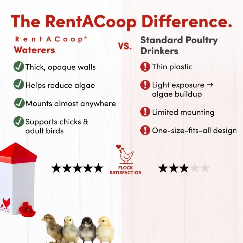 RentACoop 32oz(1L) Drinker Plus 2 Versatile Nipples - Suitable for Chicks, Quail, Pigeons, Doves, and Other Smaller Birds
