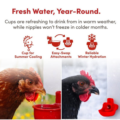 RentACoop 1 Gallon High Rise Chicken Waterer with 2 Auto-Fill Cups, Horizontal Nipples
