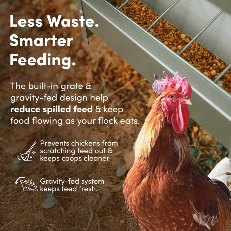 Galvanized Chicken Tough Feeder, Weatherproof Poultry Food Dispenser with Lid - 50lb