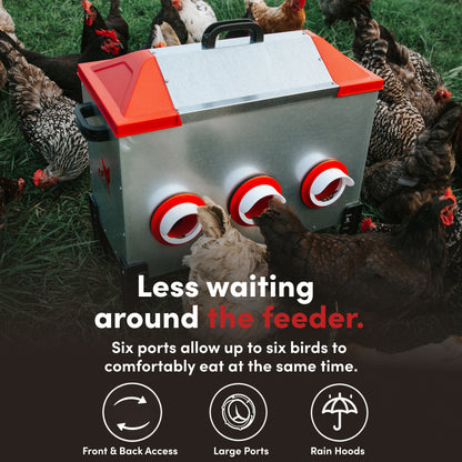 RentACoop Flock Feeder 65 lb - Large Capacity, Weatherproof Metal 6-Port Feeder for Adult Chickens, Turkeys, Ducks, and More