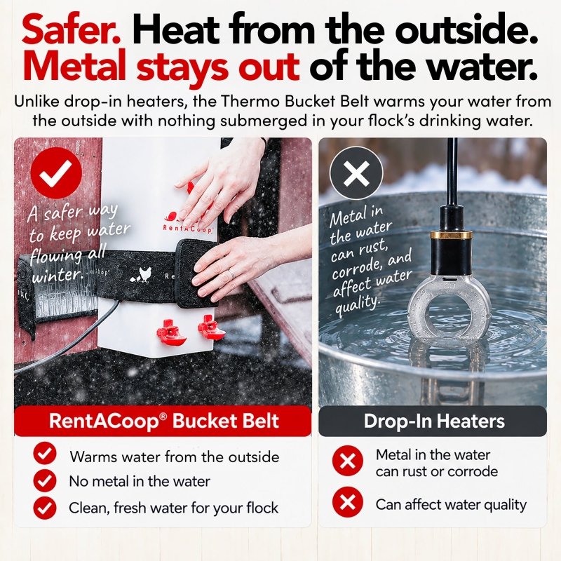 RentACoop Thermo Bucket Belt Sm and 1 Gal Waterer