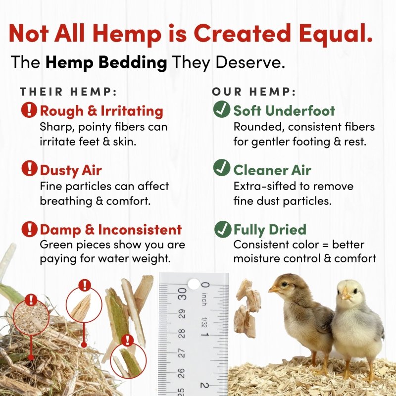 Premium Hemp Bedding (300 L) x 1 Pack - E.U. Grown for Chicken Coop, Nesting Boxes, Etc.