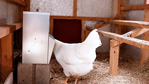 Galvanized Chicken Tough Feeder, Weatherproof Poultry Food Dispenser with Lid - 50lb