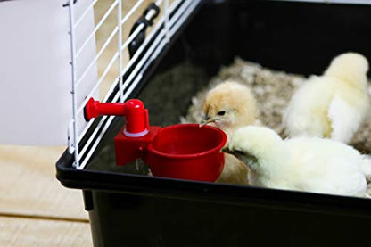 64oz Automatic Refill Chick Cup Drinker Waterer