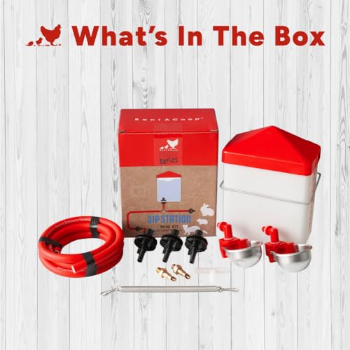 RAC Paws DIY Sip Station Watering System Mini Kit; includes Tubing, Brass Nozzles, Metal Auto-Fill Cups, Tubing Adaptors, T-Connectors, and 64oz bottle; Great for Rabbits, Guinea Pigs, and More
