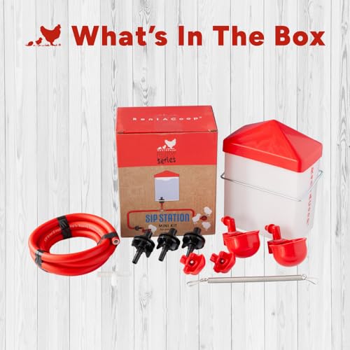 RentACoop DIY Sip Station Watering System Mini Kit; includes Tubing, Horizontal Nipples, Auto-Fill Cups, Tubing Adaptors, T-Connectors, and 64oz bottle; Great for Chickens, Quail and Other Poultry