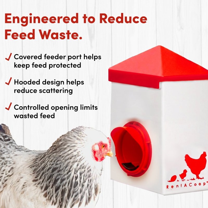 2.5lb Chick2Chicken BPA-Free Chicken Feeder