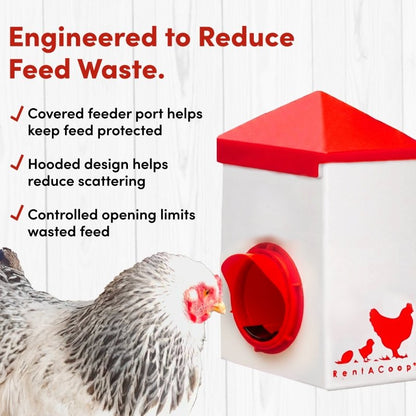 2.5lb Chick2Chicken BPA-Free Chicken Feeder