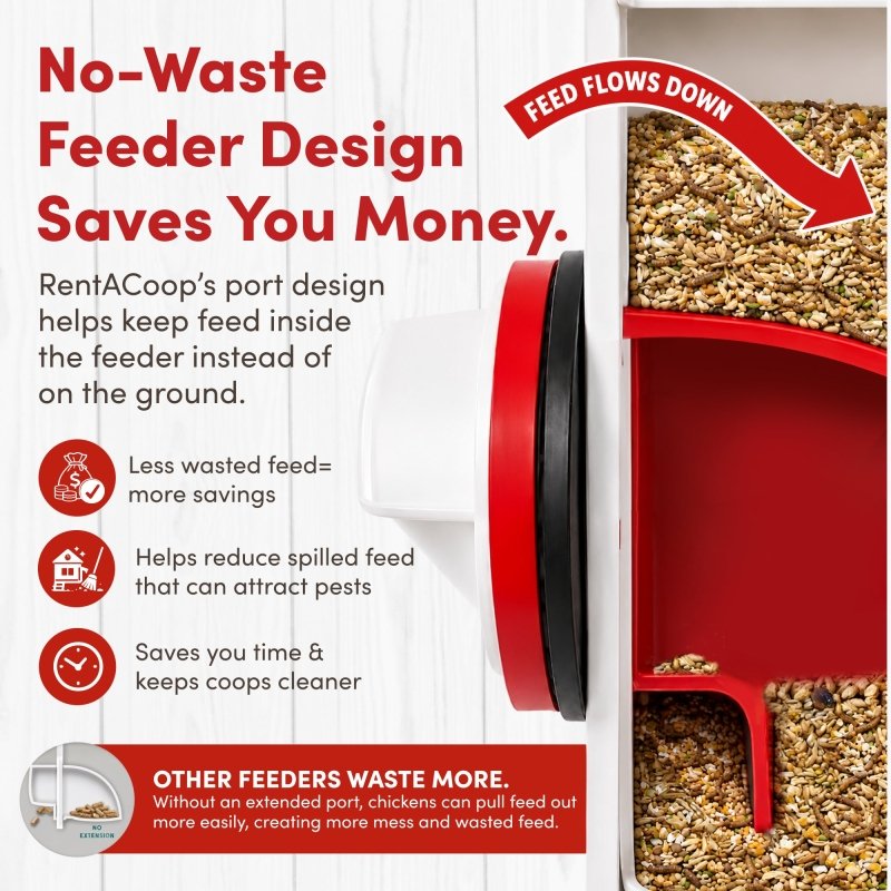 BPA-Free Single-Port Chicken Feeder -10lb Capacity