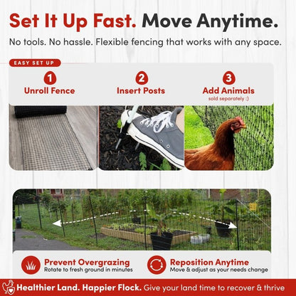 RentACoop Black Non-Electric Boundary Fence
