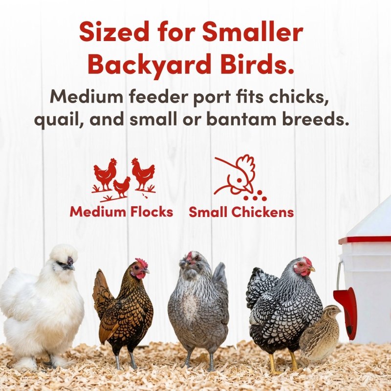 RentACoop Chick2Chicken 10lb Feeder &amp; 2 Gal Waterer Set